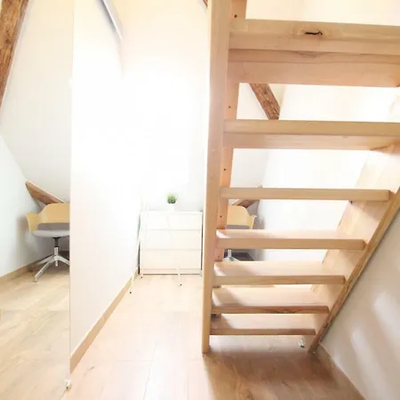Historic Center - Belle Alsace - Duplex 6 - Bookingalsace Apartment Colmar