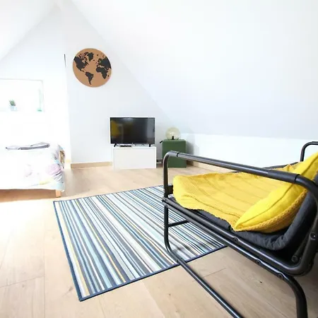 Historic Center - Belle Alsace - Duplex 6 - Bookingalsace Apartment