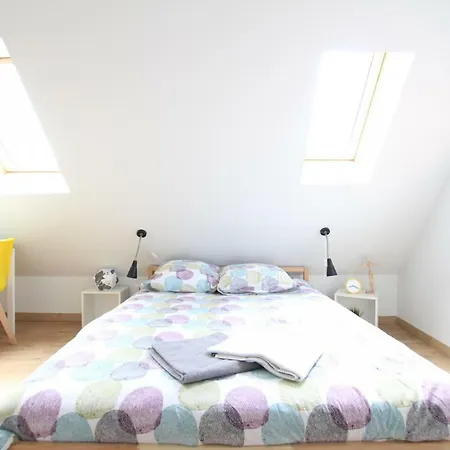 Historic Center - Belle Alsace - Duplex 6 - Bookingalsace Colmar