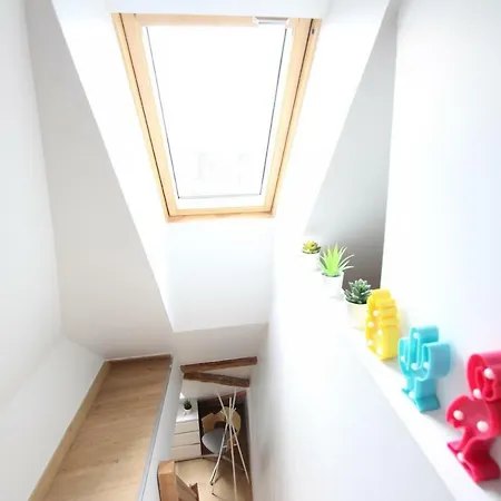 Historic Center - Belle Alsace - Duplex 6 - Bookingalsace Apartment *