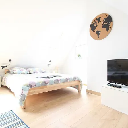 Historic Center - Belle Alsace - Duplex 6 - Bookingalsace Apartment