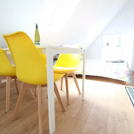 Historic Center - Belle Alsace - Duplex 6 - Bookingalsace Apartment