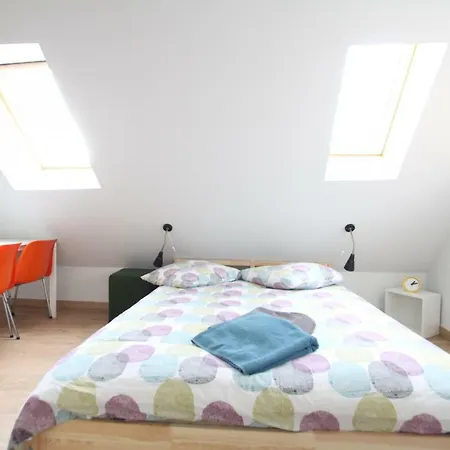 Historic Center - Belle Alsace - Duplex 6 - Bookingalsace Apartment Colmar