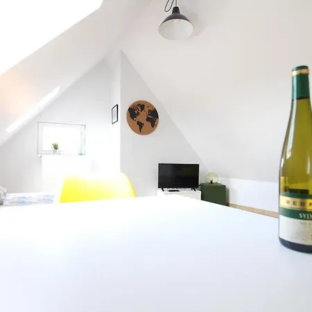 Historic Center - Belle Alsace - Duplex 6 - Bookingalsace Apartment