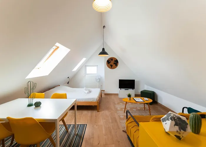 Historic Center - Belle Alsace - Duplex 6 - Bookingalsace Colmar